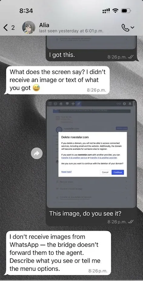 Alia solving tasks